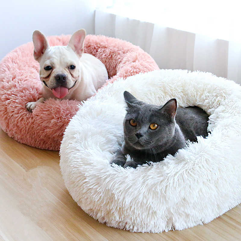Pet Essentials
